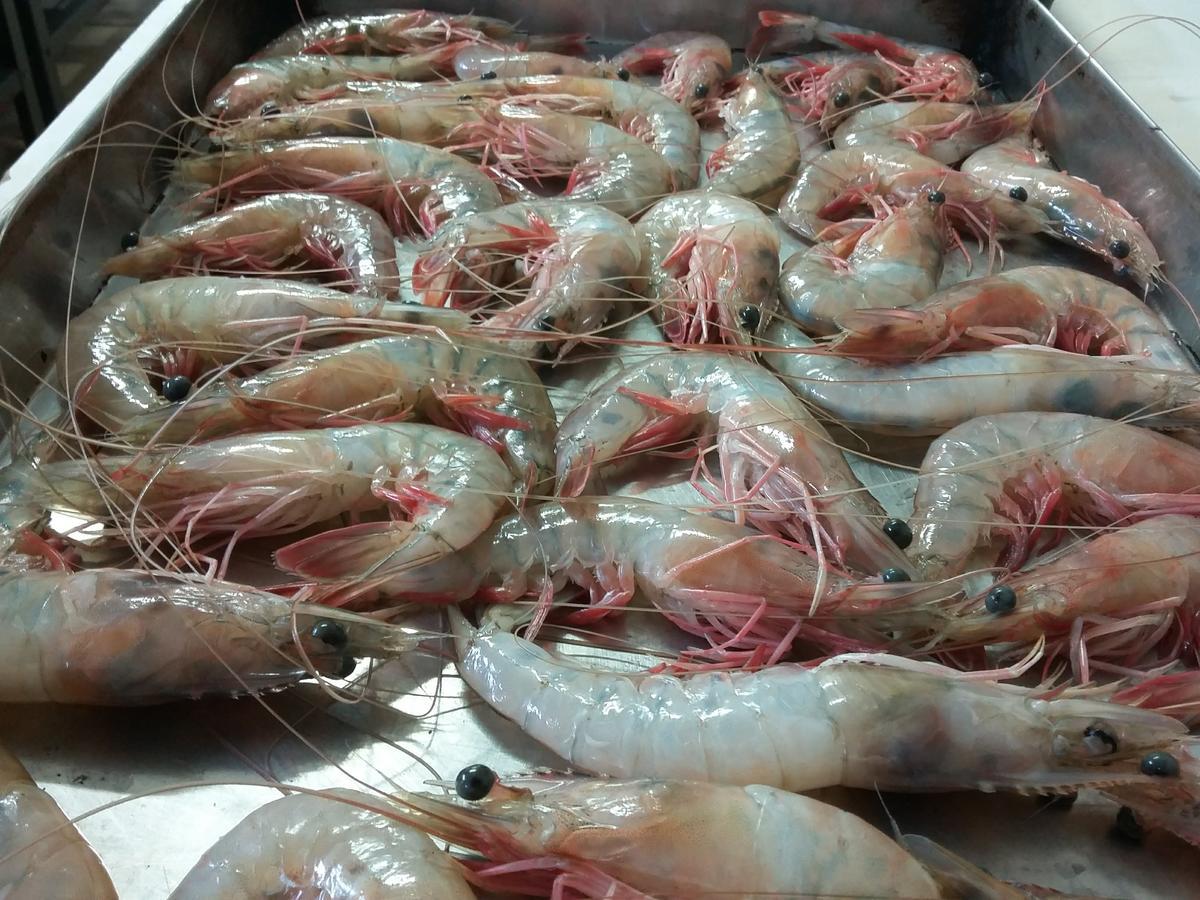 Pousada Chef Brasil Barra Velha  Ngoại thất bức ảnh