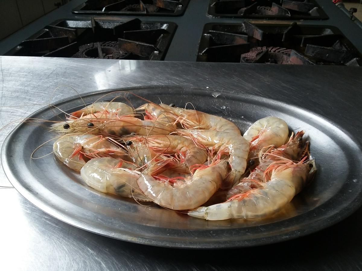 Pousada Chef Brasil Barra Velha  Ngoại thất bức ảnh